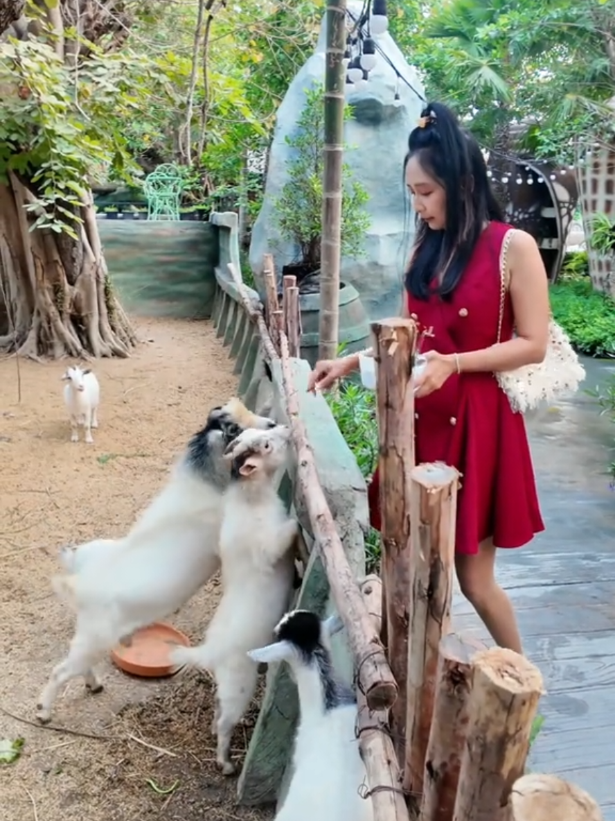 มาพักผ่อนและสนุกเพลิดเพลินไปกับ  