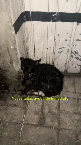 A pesar de todo tenemos que seguir siempre adelante. (Ig:Zadrigman)