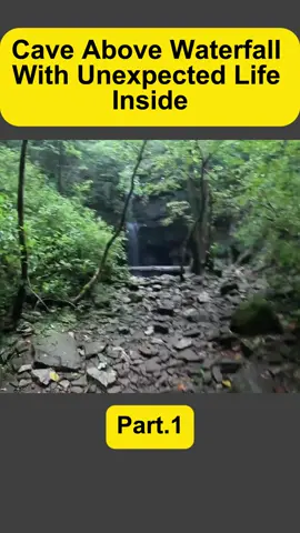 #adventure #explore #underground #cave 