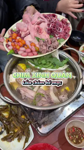 Lẩu chim kê mọc mọi người đã ăn thử bao giờ chưa #phongvureview #dcgr #LearnOnTikTok #ancungtiktok #reviewanngon #lauchimkeomoc 