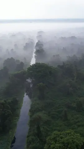 U Minh Thuong National Park  | Vườn quốc gia U Minh Thượng | Kien Giang Province | Mekong Delta Journey into the heart of the Mekong Delta and discover the wonders of U Minh Thuong National Park (Vườn quốc gia U Minh Thượng). The park is located in An Minh Bắc and Minh Thuận communes, U Minh Thượng District, Kiên Giang province, Mekong Delta region. This 21,120-hectare park offers a unique ecotourism experience, allowing visitors to explore one of Southeast Asia's last remaining climax peat swamp forests. Enjoy activities like boating through the Melaleuca forests, fishing in the serene lakes or capturing images of the fog-shrouded forest at dawn (december - january). The park's rich biodiversity includes over 250 plant species, 32 mammal species, 187 bird species (many rare and endangered), 39 amphibian species, and 34 fish species. This remarkable park, a UNESCO Biosphere Reserve, a Ramsar wetland site, and an ASEAN Heritage Park, is not only a natural wonder but also a place of historical significance, having served as a revolutionary base. Music: Know Myself by Patrick Patrikios #visitvietnam #vietnam #explorevietnam #travelvietnam #vietnamtravel #myvietnam #vietnamnow #natgeo #natgeoyourshot #yourshotphotographer #dji #djiglobal #djiair2s #kiengiang #uminhthuongkiengiang