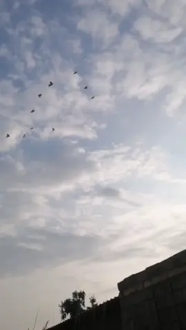 #🦅✌️⚔️ 