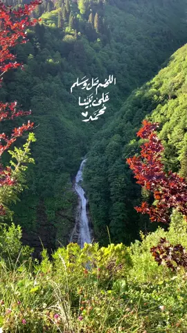 #اكسبلورexplore #اللهم_صل_وسلم_على_نبينا_محمد #ترند #صباح_الخير #صباحكم_أحلى_صباح #يوم_الجمعة #ليلة_الجمعة_المباركة #مساء_الروقان #تركيا #الشمال_التركي #ايدر #مساء_الحب_والسعاده #نصيحة #هدوء #شلال 