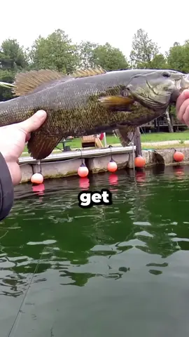 Kicked off the dock while fishing #fishermen #gamewarden #fishing 