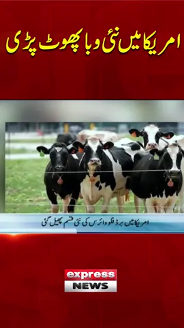 #ExpressNews #Latest #LatestNews #Foryou #Viral #shorts #reels #Viralvideos #news #LatestUpdates #Viralshorts #Viralreels #America #international