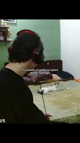 cori no quiere dormir conmigo #sebaspod