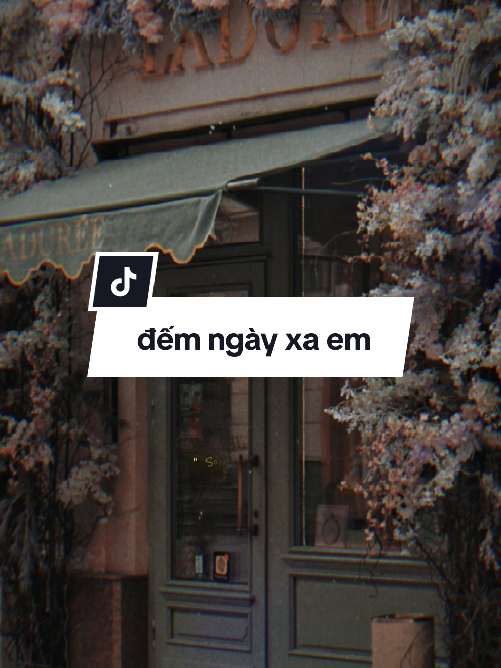 Chỉ là đôi môi chỉ là vài câu yêu thương thôi mà #CapCut #nhachaymoingay #daisucctt #vandat 