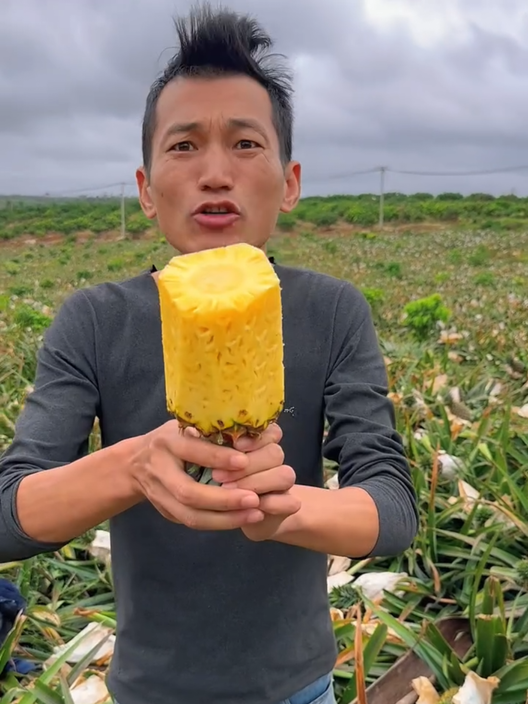 Cutting sweet pineapple 🍍 tasting at farm #harvest #agriculture #nature #pineapple 