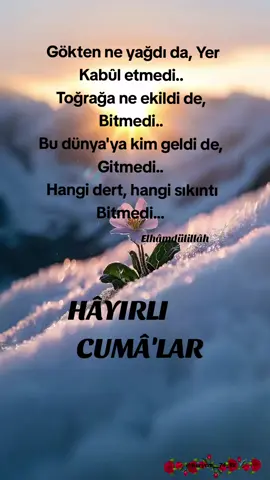 #Cumayabismillah #hayırlıcumalar #hayirlicumalar #cumamesajları #cumavideoları #cumamesajlarıvideo🌺 #hayırlıcumalar🌹🌺🌺🌷💖 #keşfetttt #keşfetttt #keşfetttt #keşfetttt 