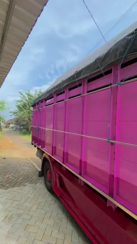 Panggah ngalam centric yo samm. Info pemesanan bak dan variasi bisa dm/wa 083851798295. @hendrik samok  #samok#samokgank#CapCut #variasitruk #rendyekavariasi #komunitastrukindonesia #komunitastrukmalang #malangrayatrucklovers #malang24jam #xybca #4u 