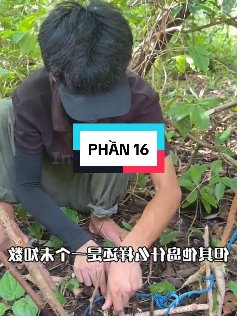 Thử thách sinh tồn 30 ngày trên hoang đảo phía bắc Australia.