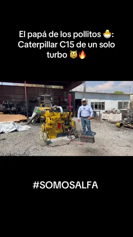 #caterpillar #c15 #6NZ #MBN #motor #engine #diesel #camiones #tractopartes #SOMOSALFA 