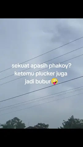 🤪#plucker #fullbrakot 