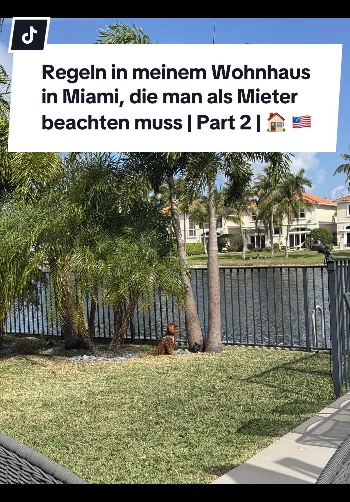 Die neue Regel nervt sehr 🥲🏠 Was sagt ihr zu den Regeln? #usa #amerika #florida #auswandern #miami #lifeinamerica #Reisetipps #lebeninamerika #germaninamerica 