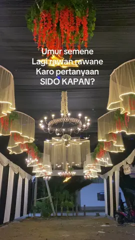 Menyediakan paket wedding lengkap More information & booking Wa. :085828897146 Ig : Frizz_wedding Tiktok : Frizz wedding #tendawedding #dekorasitulungagung #teropbalap #dekorasiblitar #terophits #fypシ 
