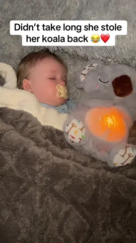 When you’re gran daughter comes to stay for a couple of hours and she’s great company 😂💤💤💤💤 #sleepingkoala #breathingbear #breathingteddybear #anxietybear #breathingkola #comfortkolangbabyko 