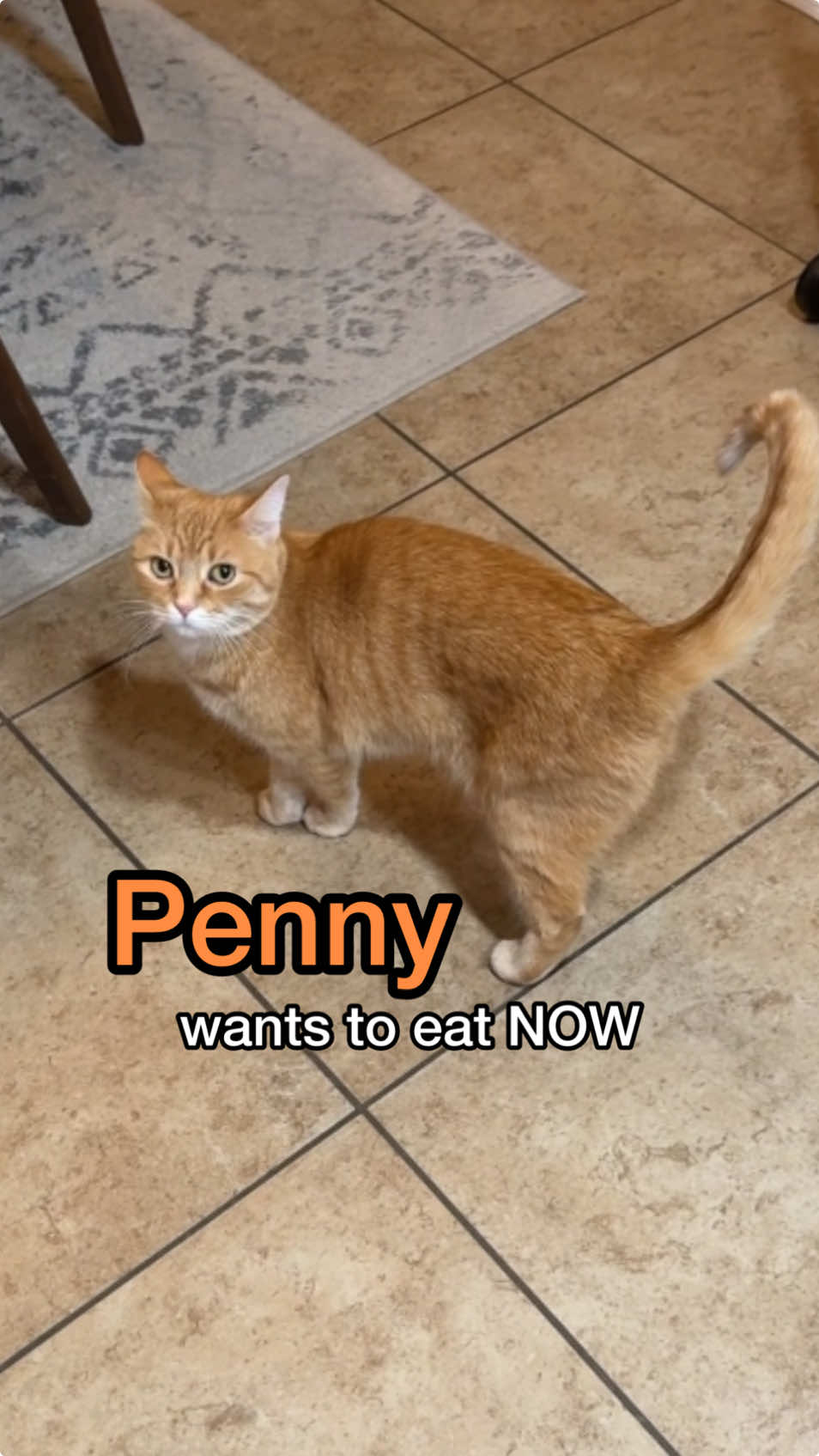 angry that her dinner isnt being made first 