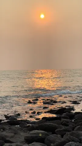 এই জীবনে প্রকৃতিই নিঃস্বার্থ! নইলে মানুষ তার স্বার্থের জন্য আপন মানুষকেও ছাড়ে না!#foryou #bdtiktokofficial #nature #viral #weather 