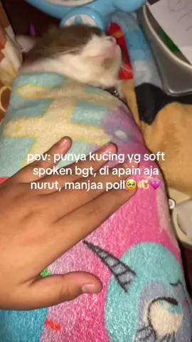 ada yg sama gasih🥹