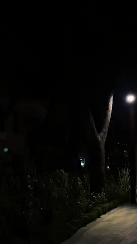 Sən mənim hərşeyimsən bu həyatda..🤍 #fypシ #fyp #keşfet #öneçıkart 