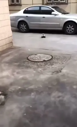 He cried in lower case... 🤣 #fyp #funnyvideos #lego #breaking #rccar #rc 