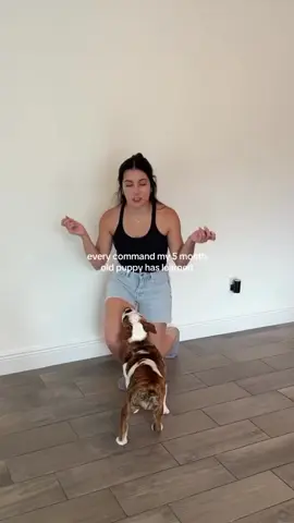 Link in bio! Unlock your dog’s full potential with our expert dog training planner! 🐾 This all-in-one planner is designed to make your dog training journey smoother, more organized, and effective. ✨ What Makes Our Planner Special? It’s not just a planner—it’s your personal dog training assistant! 1). Socialization Tracking: Record your dog’s interactions with people, other dogs, and new environments to ensure they grow into a confident companion. 2). Training Logs: Document daily training sessions, commands learned, and areas that need improvement. Perfect for staying consistent and seeing progress over time. 3). Health and Wellness Records: Keep track of vet visits, vaccinations, and medications, all in one place. 4). Behavioural Notes: Identify patterns and work on specific behaviors by noting triggers, improvements, and successes. 5). Goal Setting: Set and achieve training milestones, from mastering tricks to acing obedience. ✨ Why Tracking Matters: Consistency is key in dog training, and tracking helps you stay on top of your dog’s development. With our planner, you’ll easily identify what’s working, adjust where needed, and celebrate every win, big or small. Make every session count while building a deeper bond with your dog. Start your training journey today and take the guesswork out of dog training! 🐶💖 #DogTraining #DogLovers #DogsOfInstagram #PuppyLove #DogParents #FunnyDogs #DogTricks #PuppyTraining #dogmom (DogsOfInstagram, DogLovers, PuppyLove, DogLife, Doggy, InstaDog, Dogstagram, PuppyGram, PetLovers, FunnyDogs, DogHumor, DogsAreTheBest, CuteDogsOfInstagram, PuppyEyes, DoggoMemes, FluffyFriends, BarkBox, DogsPlaying, HappyDoggo, FetchTime, AdventurePup, BeachDog, ParkPup, ViralDogs, DogContent, DogsDaily, DogVideo, DogsWithPersonality, CanineChronicles, PawfectMoments, DogVibesOnly, WinterPaws, ChristmasPup, SummerDogDays)