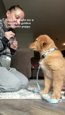 Link in bio! Unlock your dog’s full potential with our expert dog training planner! 🐾 This all-in-one planner is designed to make your dog training journey smoother, more organized, and effective. ✨ What Makes Our Planner Special? It’s not just a planner—it’s your personal dog training assistant! 1). Socialization Tracking: Record your dog’s interactions with people, other dogs, and new environments to ensure they grow into a confident companion. 2). Training Logs: Document daily training sessions, commands learned, and areas that need improvement. Perfect for staying consistent and seeing progress over time. 3). Health and Wellness Records: Keep track of vet visits, vaccinations, and medications, all in one place. 4). Behavioural Notes: Identify patterns and work on specific behaviors by noting triggers, improvements, and successes. 5). Goal Setting: Set and achieve training milestones, from mastering tricks to acing obedience. ✨ Why Tracking Matters: Consistency is key in dog training, and tracking helps you stay on top of your dog’s development. With our planner, you’ll easily identify what’s working, adjust where needed, and celebrate every win, big or small. Make every session count while building a deeper bond with your dog. Start your training journey today and take the guesswork out of dog training! 🐶💖 #DogTraining #DogLovers #DogsOfInstagram #PuppyLove #DogParents #FunnyDogs #DogTricks #PuppyTraining #dogmom (DogsOfInstagram, DogLovers, PuppyLove, DogLife, Doggy, InstaDog, Dogstagram, PuppyGram, PetLovers, FunnyDogs, DogHumor, DogsAreTheBest, CuteDogsOfInstagram, PuppyEyes, DoggoMemes, FluffyFriends, BarkBox, DogsPlaying, HappyDoggo, FetchTime, AdventurePup, BeachDog, ParkPup, ViralDogs, DogContent, DogsDaily, DogVideo, DogsWithPersonality, CanineChronicles, PawfectMoments, DogVibesOnly, WinterPaws, ChristmasPup, SummerDogDays)