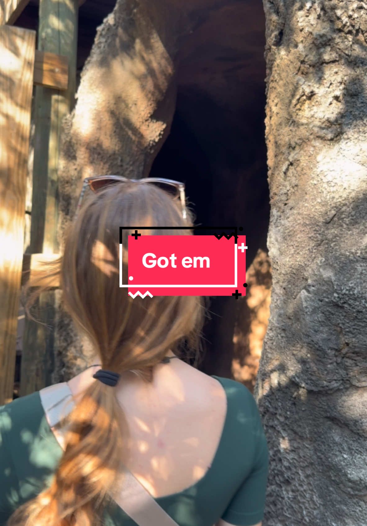 It’s not all that bad @Katelyn Campisi @Deese 