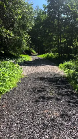 этот их диалог после бара( #очмл #володядавыдов #юраволодя #юрчка #очеммолчитласточка #юраконев #лвпгочмл #юрчкаиволодя 