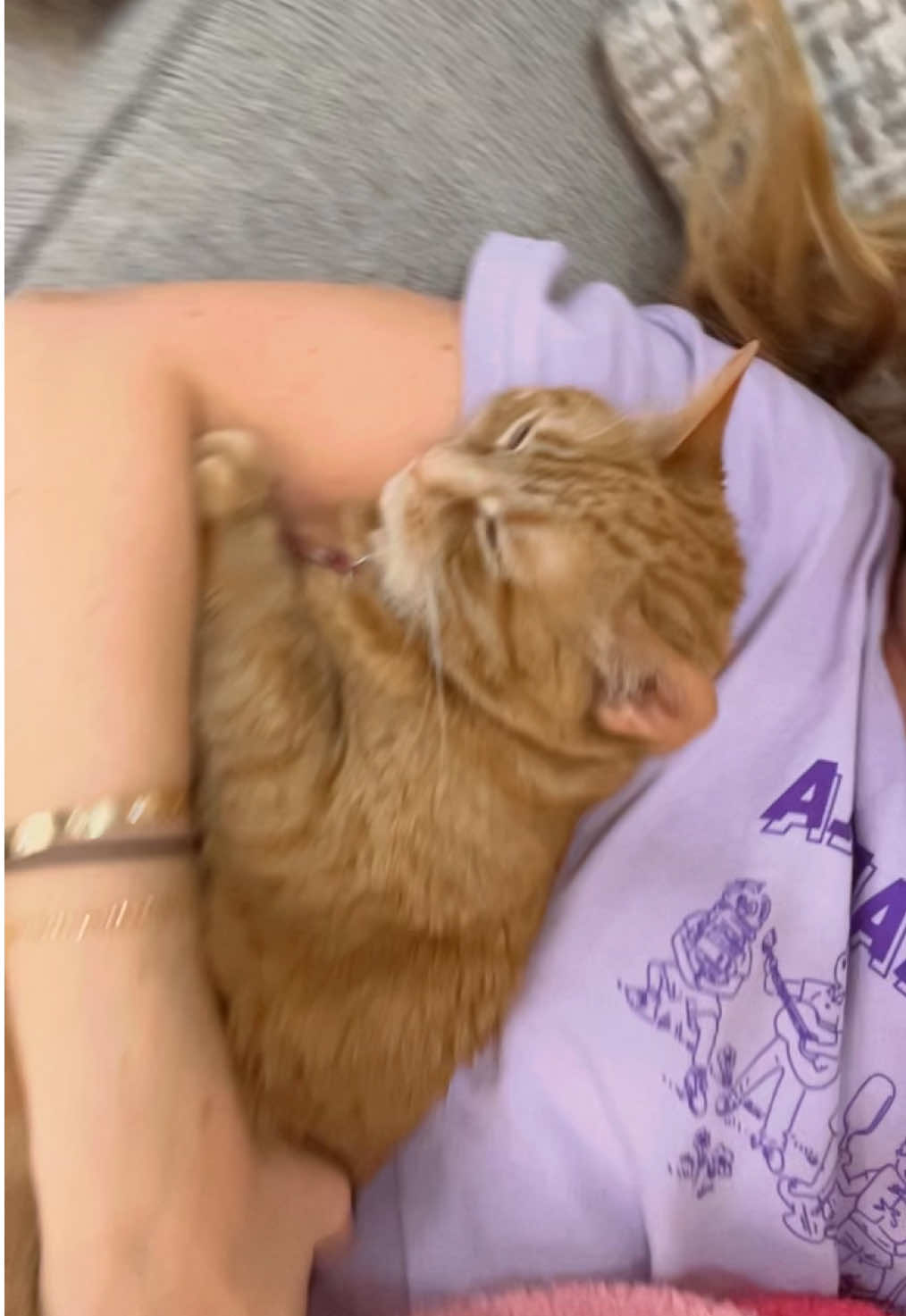 Snowday 😄 #macandcheesethecats #macattack #macandcheese #macaroniandcheese #smackaroni #orangecat #orangecatbehavior #orangecatsoftiktok #orangecats #stopyourescaringme 