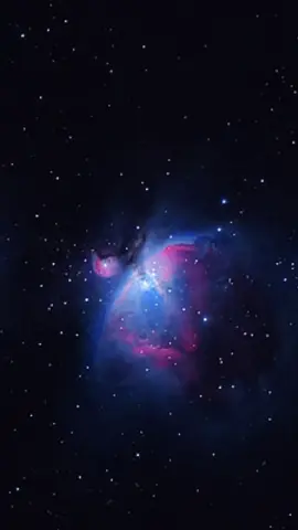 Voce conhece a Nebulosa de Órion  #astronomia #universo  #nebulosa #estrelas #planeta  #terra #orion #gases