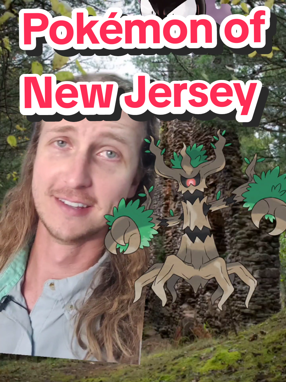 A mixture of sprawling cities and pine forests make for an interesting state full of Pokémon #pokemon #pokemontiktok #pokemoncommunity #biology #ecology #fyp 