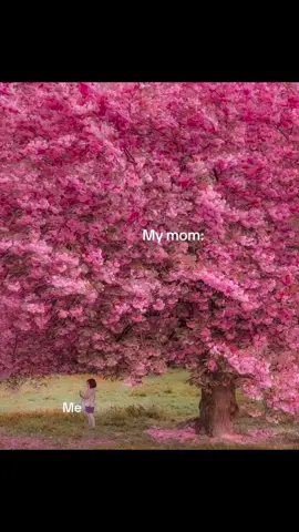 mom you are my hero ❤️  #fypシ #mom #fyp 