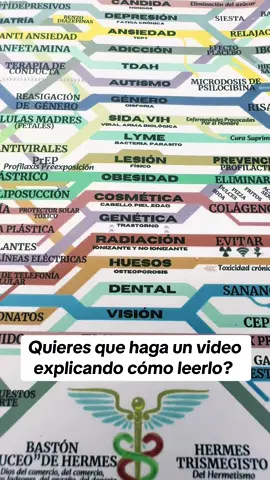 Healing web map ( adaptación en español ) si te interesa link en mi perfil !! #healingweb #healingwebmap #heartholistic #biohacking #heartdiaseas #holistic #diabetestipo2 #diabetes #diabetestipo1 #holistichealing #biodescodificacion #fouryou #paratiiiiiiiiiiiiiiiiiiiiiiiiiiiiiii #viralvideos #fyp 