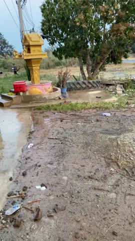 #កូូនអ្នកពោធិ៍សាត់ #m9540บ้าพลัง🚜 