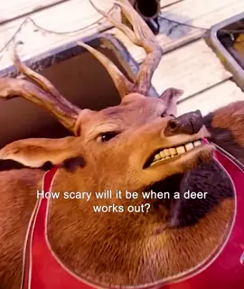 Self-disciplined animals are very scary.#AnimatedMovies #fyp #foryou 