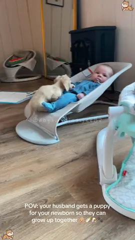 They'll be best friends for life.🥹🥹🥹🥹#funnyvideos #funnytiktok #funnyanimals#foryou #foryoupage #funny #funnydog#dog #dogs #cutedog#dogsoftiktok #fyp