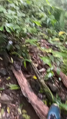 yg di cari