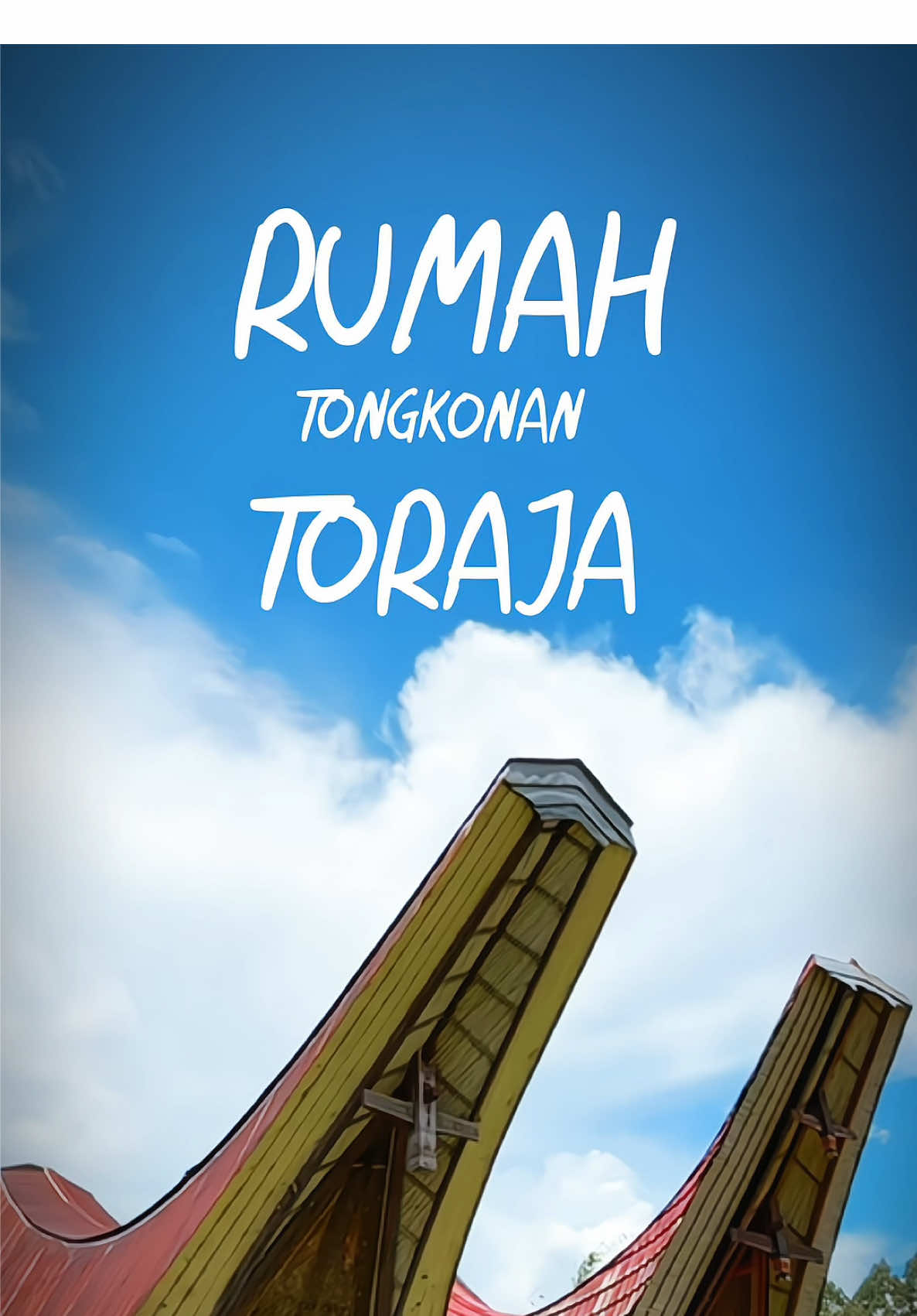 Rumah tongkonan Toraja dengan Ukiran yg mengagumkan 🌿 #toraja #torajasulawesiselatan #torajautara #torajamaelo #torajapride🏝️💥 #rambusolo #tongkonan 