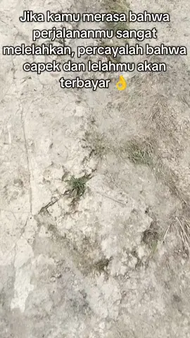 #Rohani #SumbaTimur  #piarakukuhills 