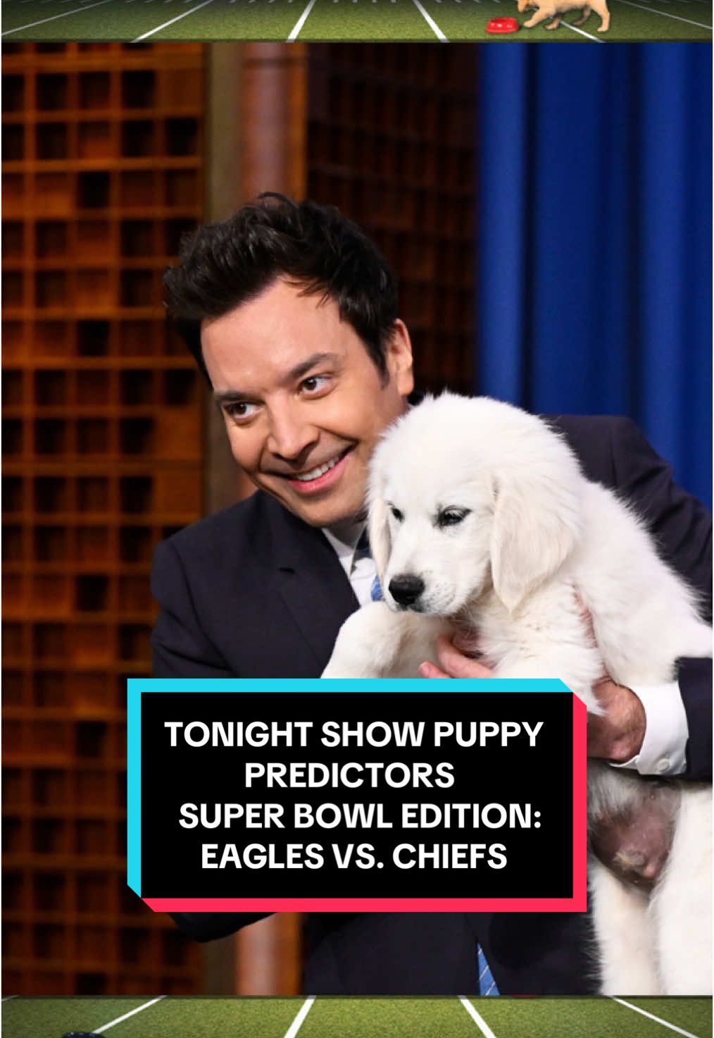 Tonight Show Puppy Predictors Super Bowl Edition: @Philadelphia Eagles vs. @Chiefs #FallonTonight #TonightShow #Eagles #Chiefs #SuperBowl #SBLIX #JimmyFallon 