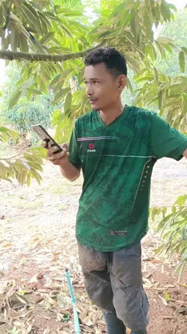 มาแล้วพี่น้องเหอ ดอกเรียนมาแล้ว55555#สวนเรียนพี่บาว 