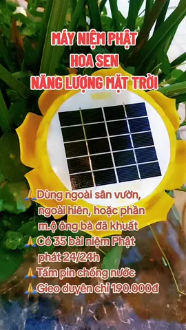 Máy niệm Phật hoa sen sử dụng năng lượng mặt trời thích hợp để ngoài sân vườn... #xuhuong #phatphap #phatphapnhiemmau #mayniemphat #mayniemphathoasen #mayniemphatnangluongmattroi #kinhdiatang 