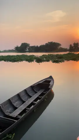 Ngắm lục bình trôi chờ em về#binhyen 