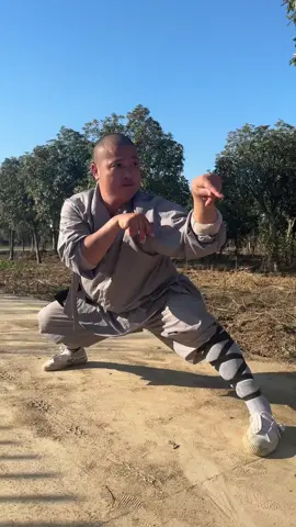 Praying Mantis Kung Fu  _ _ _ #kungfu #wushu #shaolinkungfu #skill #training #accuracy #power #speed 