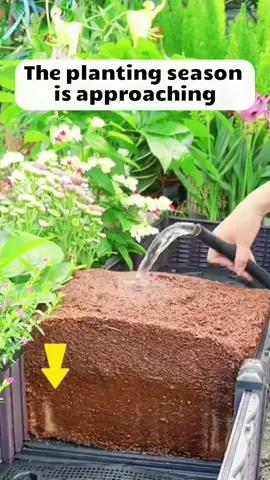 #homegarden #plantlovers #srkgardenshop #viralvideo #cocobrick 