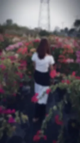 #CapCut #မင်းလေးစိုးမိုးနေပါပြီ #@Nway Nway #