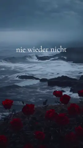 #🖤 #wiewahr #wahreworte #deinwert #liebe #soistes #zumnachdenken #fouryou #viralvideos 