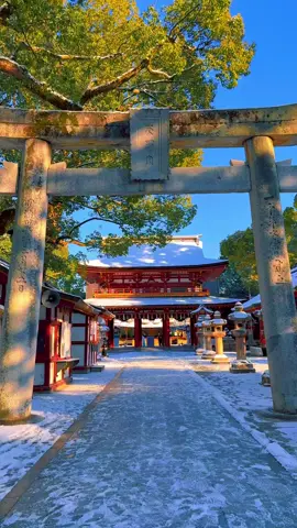 Dazaifu Tenmangu (Fukuoka) / 太宰府天満宮 Snow-covered Dazaifu Tenmangu Shrine 🥰❄️ Please share 🥰🙏 Please follow → @japan_walker_ #japan #japantravel #japantrip #太宰府天満宮 #太宰府 #太宰府市 #fukuoka #dazaifu #dazaifutenmangu #kyushu #九州 #九州旅行 #福岡 #福岡観光 #traveljapan #tripjapan #shrine #torii 