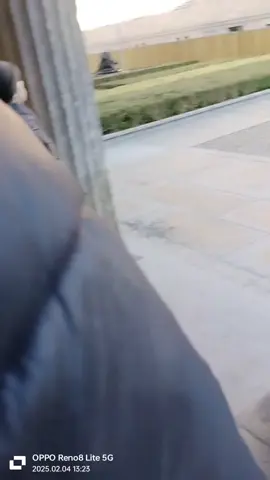 البيت بيت ابونا والغرب يترضونا المتحف المصري في برلين اسمه 